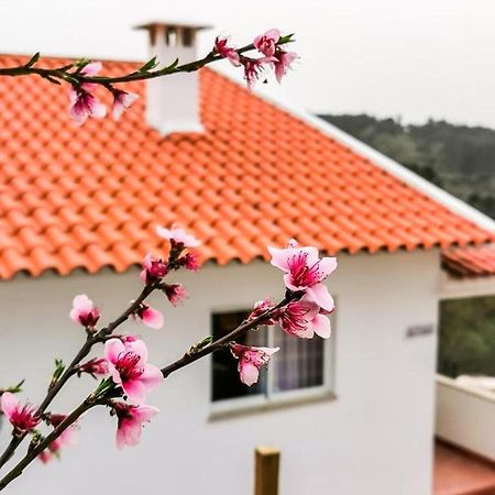 科英布拉O Refugio别墅 外观 照片